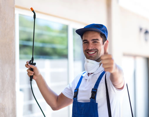 Pest Control in Ingham